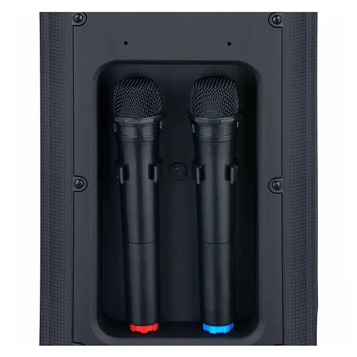 Портативная колонка BIG JB X828 два радио микрофона, караоке - фото 5