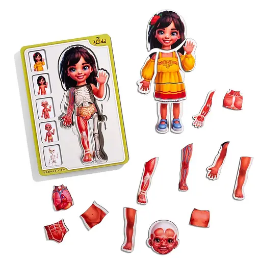 Дерев'яний пазл-вкладиш "Анатомія людини - дівчинка-2" Ubumblebees (ПСД263) PSD263 будова тіла - фото 2