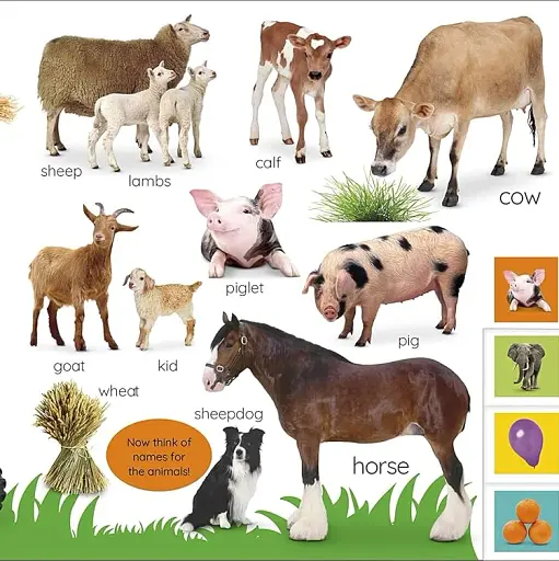 My First Words: Let's Get Talking - фото 7