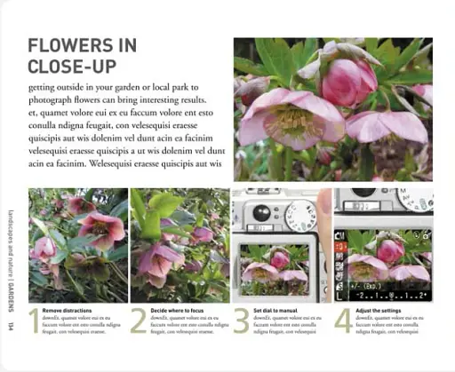 How to Photograph Absolutely Everything - фото 2