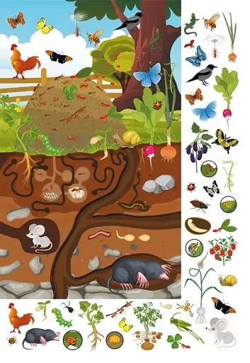 Книга-картонка Великий віммельбух. Мікросвіт - фото 5