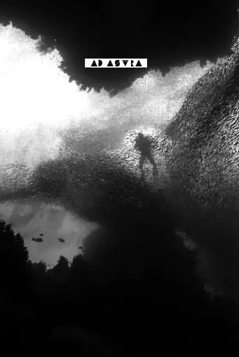 Морська зірка - фото 4