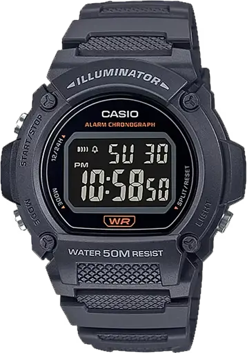 Часы Casio TIMELESS COLLECTION W-219H-8B