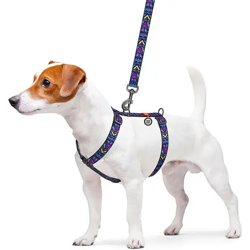 Шлейка для собак Waudog Nylon анатомическая H-образная с QR-паспортом, рисунок "Инди", пластиковый фастекс, L - фото 3