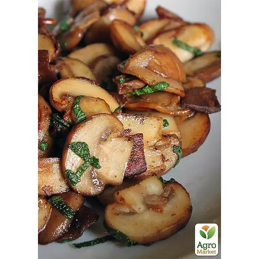 Міцелій на дубових брусочках "Глива Білий ельф" 10шт (45234) - фото 2