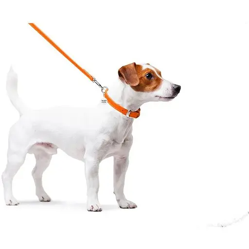 Повідець для собак Waudog Glamour шкіряний, помаранчевий - фото 4