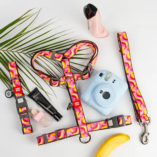 Ошейник для собак нейлоновый Waudog Nylon с QR-паспортом "Бананы на розовом" пластиковый фастекс XXL Ш 35 мм Дов. - фото 2