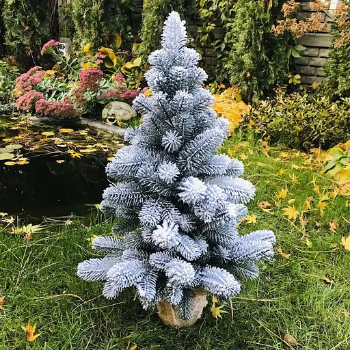 Ялинка Hvoya Premium лита в мішковині 70 см засніжена - фото 5