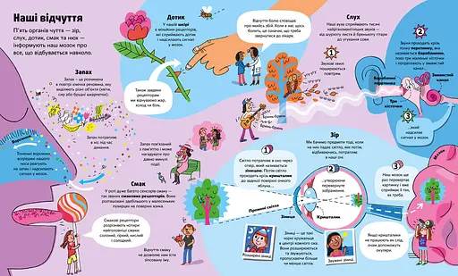 Велика книга про Тіло - фото 5