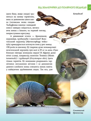 Енциклопедія для допитливих А5 : Хижаки (Українська, 01 КРЕЙДОВАНИЙ ) - фото 7