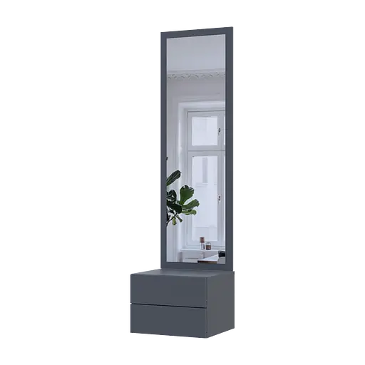 Тумба с зеркалом Doros Сола Графит ДСП / зеркало 45х40х168.6 (44900342)