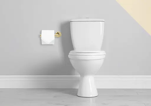 Тримач для туалетного паперу Rea Mist 04 gold REA-80026 Золотий - фото 4