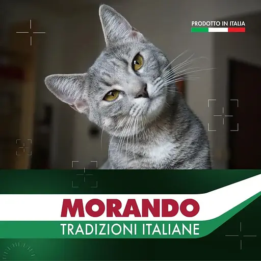 Вологий корм для котів Morando Tradizioni шматочки у соусі з яловичиною 405 г - фото 6