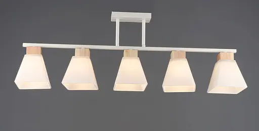 Люстра классическая на 5 плафонов B N6663/5 WT+WOOD