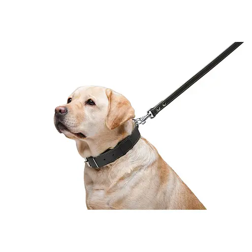 Поводок CoLLaR двойной с прошивкой (ширина 20мм длина 122см) черный - фото 6