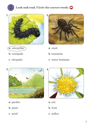 Ladybird Readers 3 Minibeasts Activity Book - фото 3