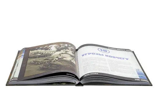 Studio 101 Настольная ролевая игра Мутанты. Точка отсчёта (Mutant. Year Zero) (ST3102) - фото 5