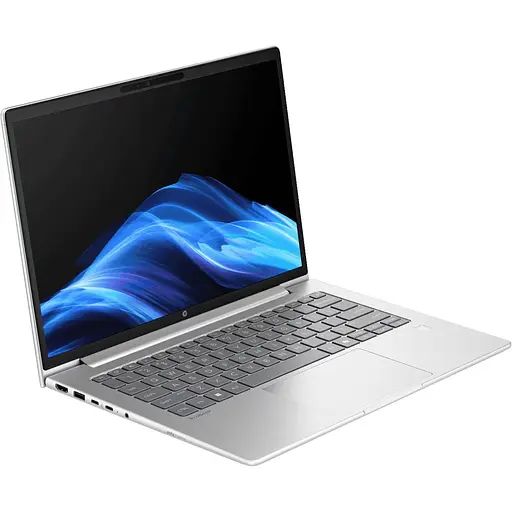 Ноутбук HP 14 ProBook 4 G1a 14 IPS/Ryzen 3 210/24GB/1TB/UMA/DOS/Silver (C78GJET) - фото 3