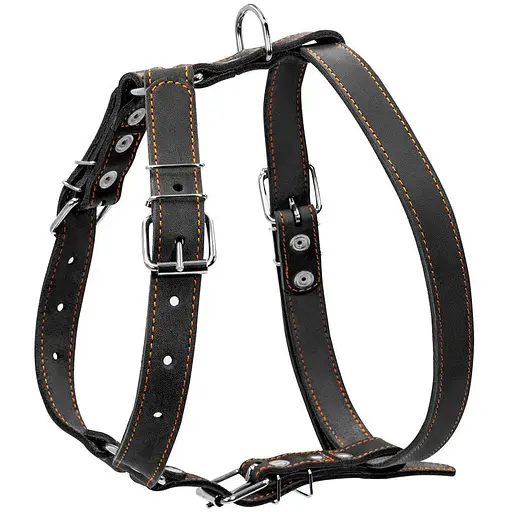 Шлея Collar одинарна для середніх собак (ширина 25мм, А:49-68см, В:68-80см) чорний