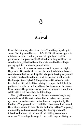 The Castle - фото 2