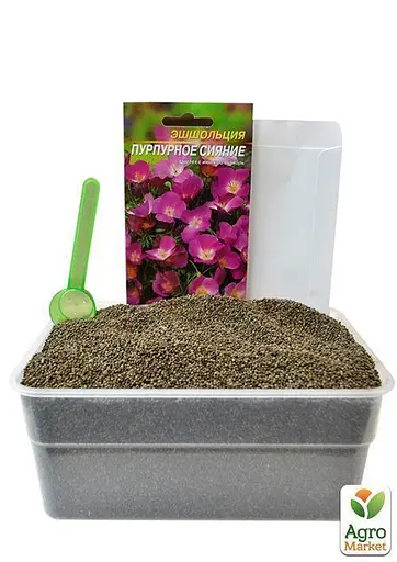 Эшшольция "Пурпурное сияние" Весна 2г (22465) - фото 3