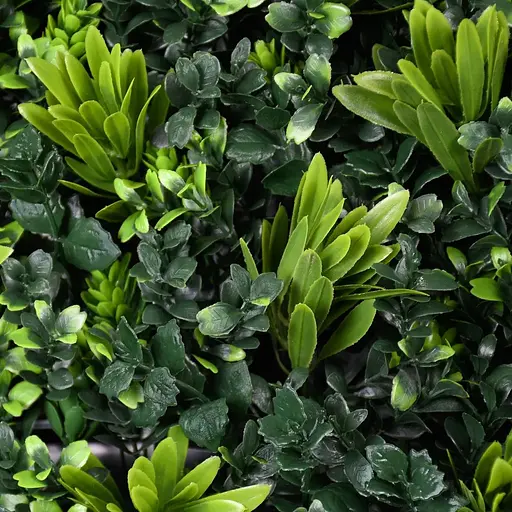 Декоративне зелене покриття Engard Патіо мікс 50х50 см (GCK-18) - фото 3