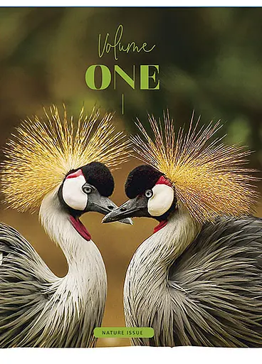 Комплект 4 шт загальних зошитів. Зошит Школярик А5 48 арк. у лінію 5072 4823088219197 - фото 3