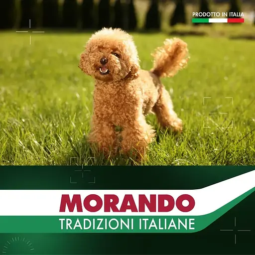 Сухой корм для собак малых пород Morando Tradizioni Mini Ideal Weight с говядиной, горохом и свеклой 1.5 кг - фото 5