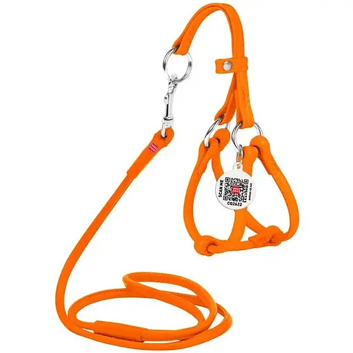 Шлея з повідцем для собак Waudog Glamour шкіряна з QR паспортом, кругла, помаранчевий