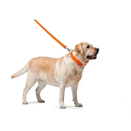 Повідець для собак Waudog Glamour шкіряний, помаранчевий - фото 3