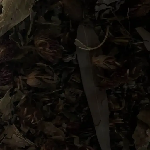 Сбор травяной для нормализации внутречерепного давления,  100 г