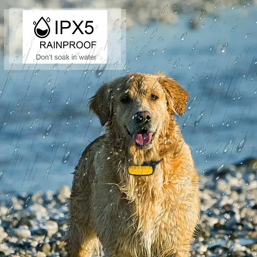 WWVVPET Citronella Spray Нашийник для дресування собак з пультом дистанційного керування, 2 режими Спрей з - фото 3