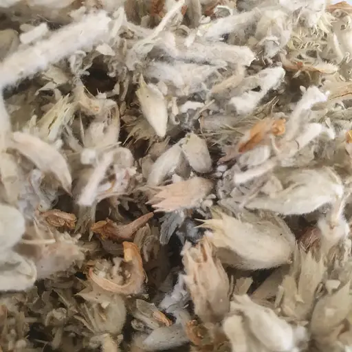 100 г панцерія шерстиста трава сушена - свіжий урожай