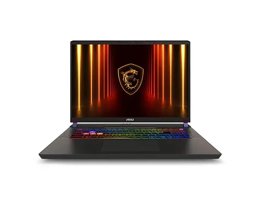 MSI Ноутбук Vector 17 HX AI A2XWIG-043UA 17" QHD+ 240Hz, Intel Ultra 9 275HX_24C_24T, 32GB, F1TB, NVD5080-16, W11, черный - фото 1