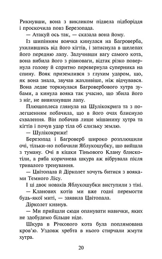 Остання надія. Коти-вояки. Знамення Зореклану. Книга 6 - фото 5