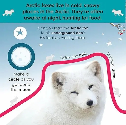 Follow the Trail. Winter Wonderland. Take a Peek! Fun Finger Trails! - фото 5