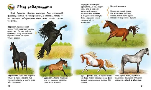 Енциклопедія дошкільника Ранок Коні - Юлія Каспарова (С614037У) - фото 3