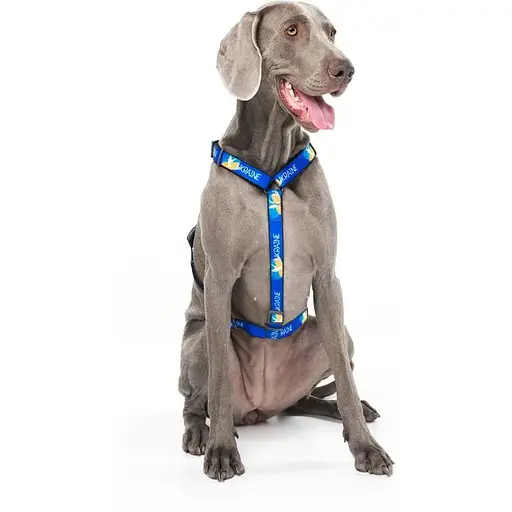 Шлея для собак Waudog Nylon анатомічна H-подібна з QR-паспортом, матеріал нейлон, малюнок "Прапор", пластиковий фастекс, розмір L - фото 5