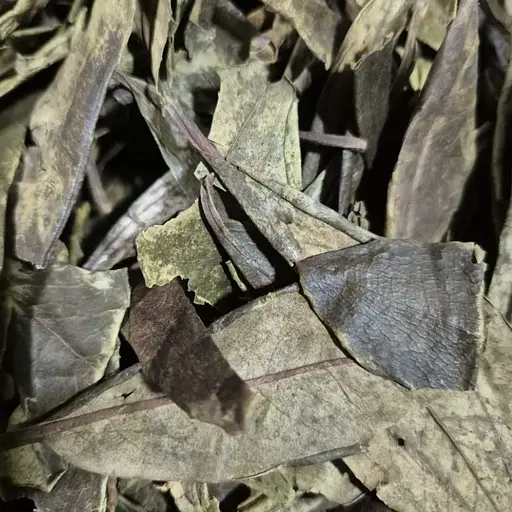 100 г саган Дайля/рододендрон Адамса/біле тибетське крило трава сушена - свіжий урожай