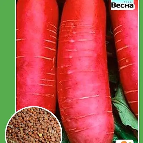 Редька дайкон "Імператор" ТМ "Весна"  10г (112732) - фото 1