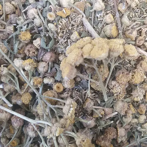 100 г піжмо/дівоча трава цвіт сушений - свіжий урожай