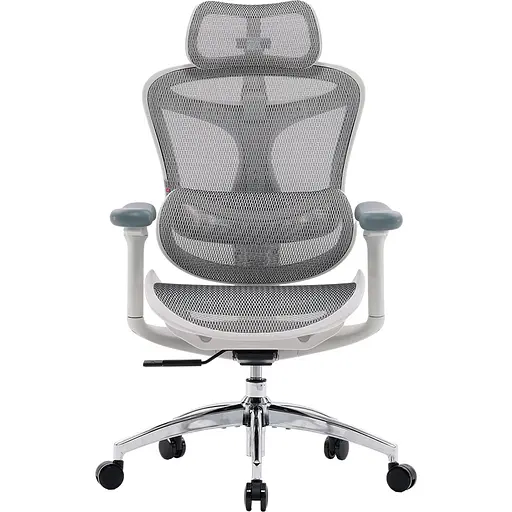 Крісло офісне Sihoo Doro C300L Mesh White (DORO-C300L-A3-102)