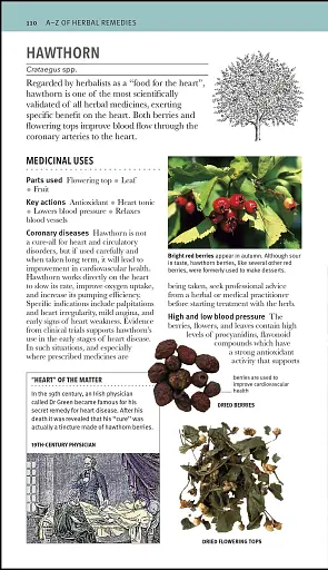Herbal Remedies Handbook - фото 3