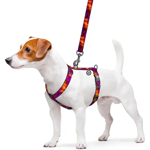 Шлея для собак Waudog Nylon анатомічна H-подібна з QR-паспортом, малюнок "Куби 3Д", пластиковий фастекс, M - фото 3