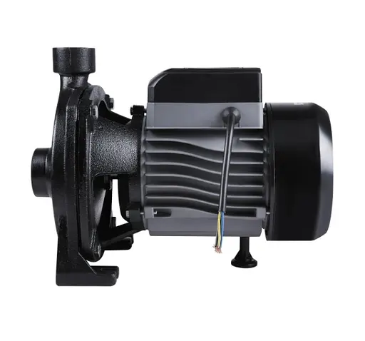 Насос поверхневий відцентровий Thermo Alliance CPm170/1 - фото 2