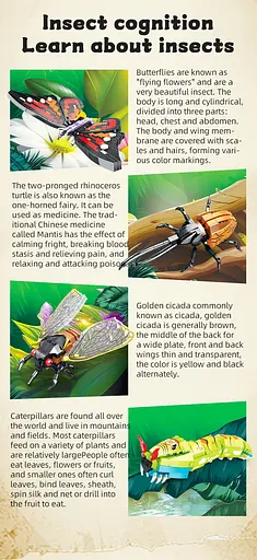 Конструктор насекомые  WOMA развивающий научный набор живой мир 705 деталей - фото 4