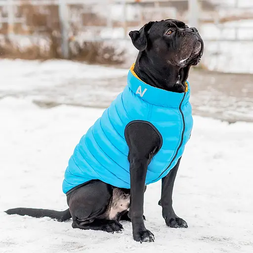 Двостороння курточка AiryVest для собак Colors of freedom розмір L 55 [CD] - фото 6