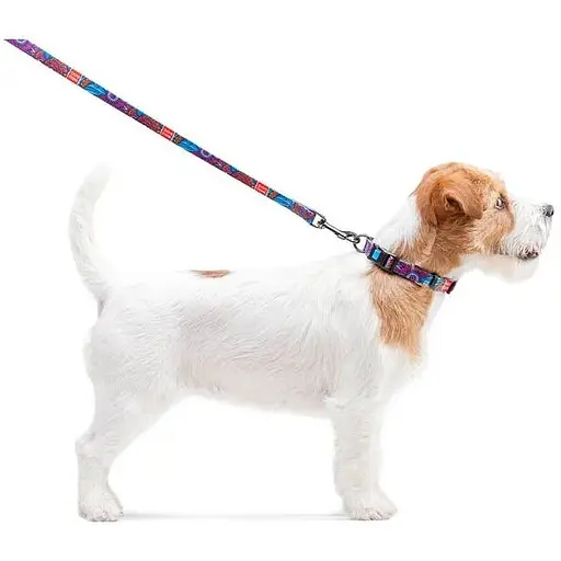 Повідець для собак Waudog Nylon нейлоновий, малюнок "Літо" - фото 3