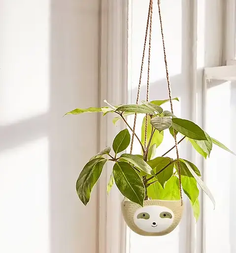 Подвесной цветочный горшок кашпо в виде Ленивца (Желтый) - фото 4