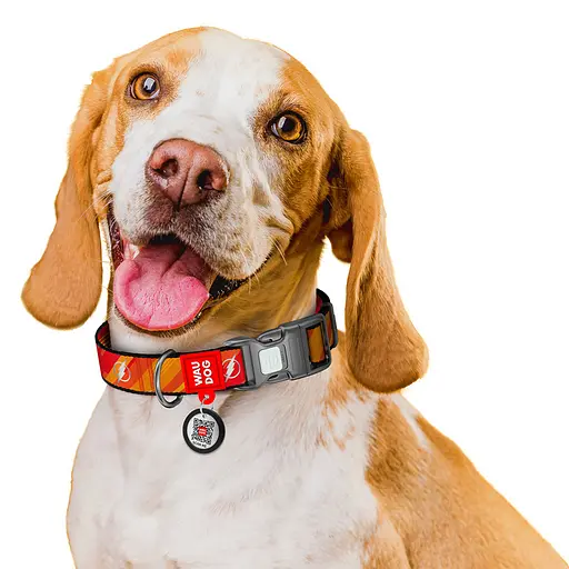 Нашийник для собак нейлоновий Waudog Nylon з QR-паспортом світловідбивний "Флеш Лого" пластиковий фастекс S Ш 15 мм, - фото 6